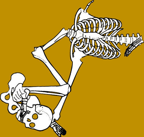 Dem bones dem bones dem – dry bones!