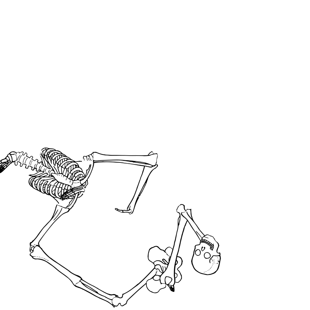 Dem bones dem bones dem – dry bones!