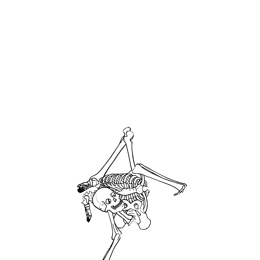 Dem bones dem bones dem – dry bones!