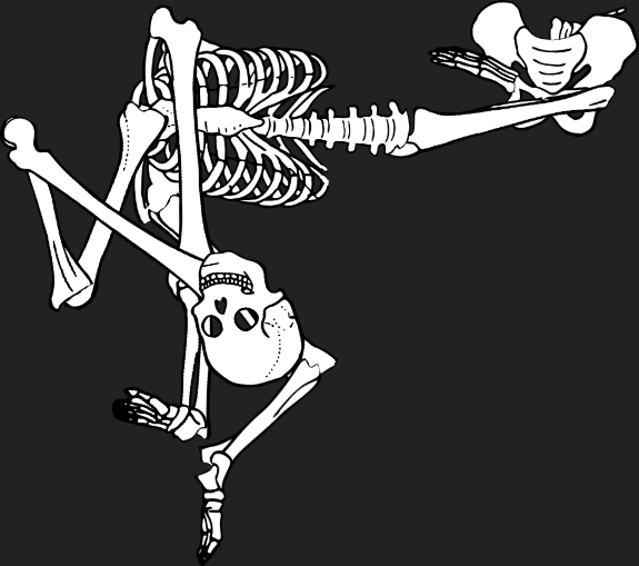 Dem bones dem bones dem – dry bones!