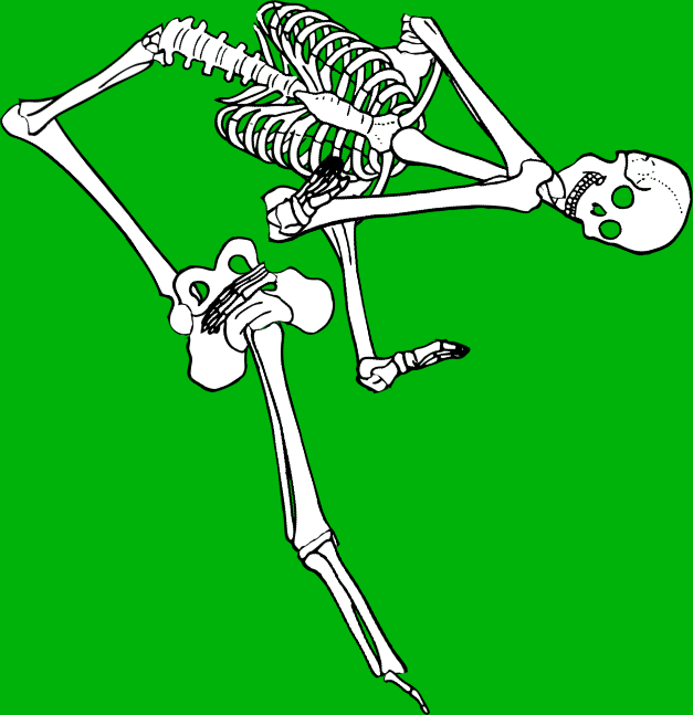 Dem bones dem bones dem – dry bones!