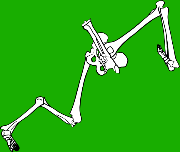 Dem bones dem bones dem – dry bones!