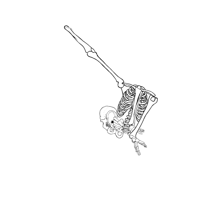 Dem bones dem bones dem – dry bones!