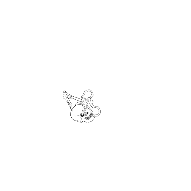 Dem bones dem bones dem – dry bones!