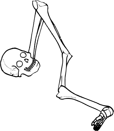 Dem bones dem bones dem – dry bones!