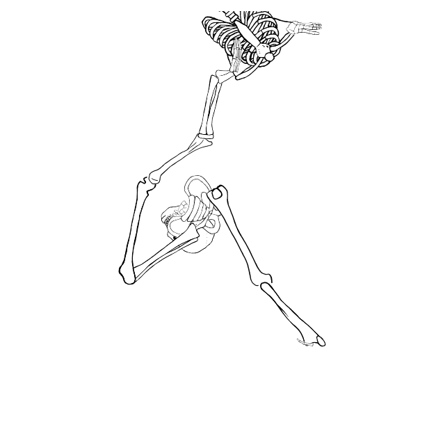 Dem bones dem bones dem – dry bones!