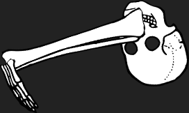 Dem bones dem bones dem – dry bones!