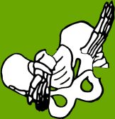 Dem bones dem bones dem – dry bones!