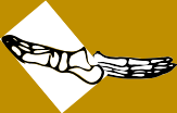 Dem bones dem bones dem – dry bones!