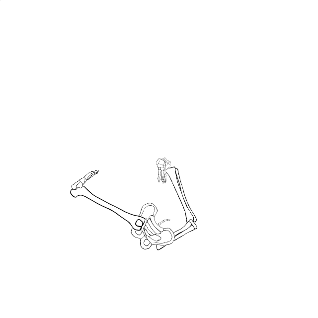 Dem bones dem bones dem – dry bones!