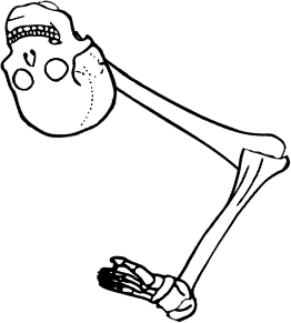 Dem bones dem bones dem – dry bones!