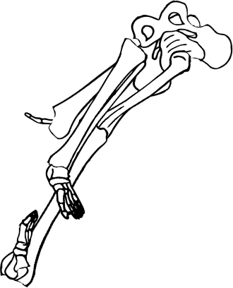 Dem bones dem bones dem – dry bones!