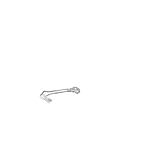 Dem bones dem bones dem – dry bones!