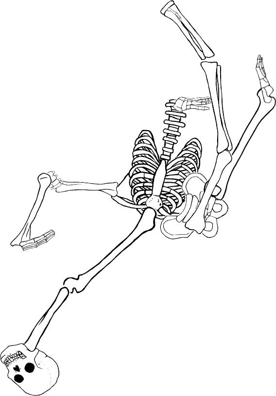 Dem bones dem bones dem – dry bones!