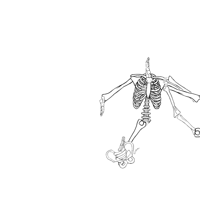 Dem bones dem bones dem – dry bones!