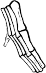 Dem bones dem bones dem – dry bones!