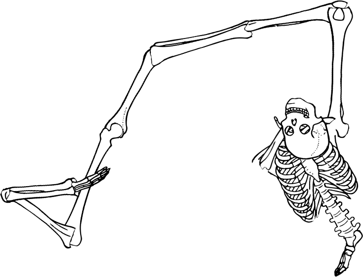 Dem bones dem bones dem – dry bones!