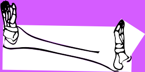 Dem bones dem bones dem – dry bones!