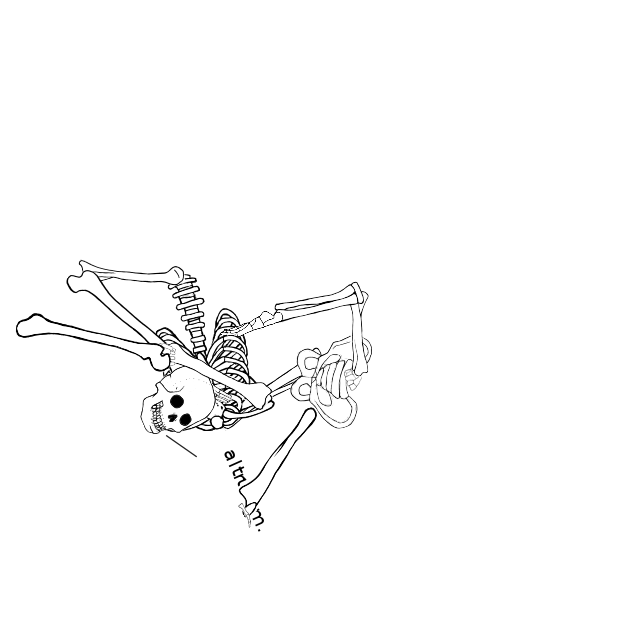 Dem bones dem bones dem – dry bones!