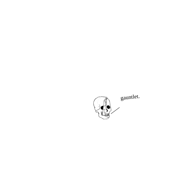 Dem bones dem bones dem – dry bones!