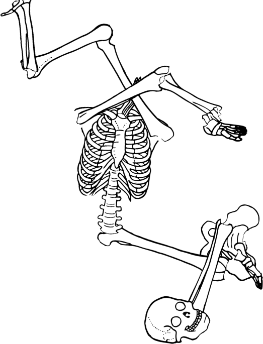 Dem bones dem bones dem – dry bones!