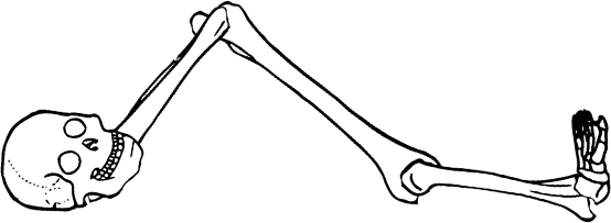 Dem bones dem bones dem – dry bones!
