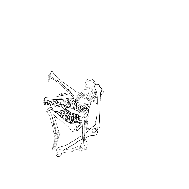 Dem bones dem bones dem – dry bones!