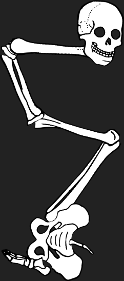 Dem bones dem bones dem – dry bones!