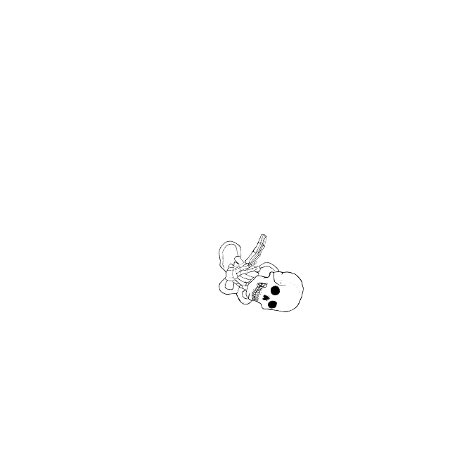 Dem bones dem bones dem – dry bones!