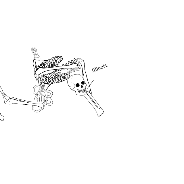 Dem bones dem bones dem – dry bones!