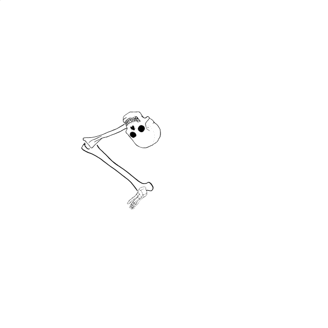 Dem bones dem bones dem – dry bones!