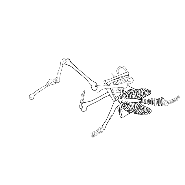 Dem bones dem bones dem – dry bones!