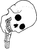 Dem bones dem bones dem – dry bones!