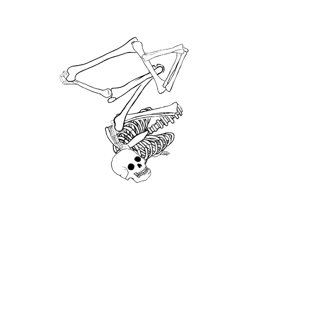Dem bones dem bones dem – dry bones!