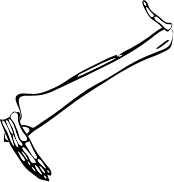 Dem bones dem bones dem – dry bones!