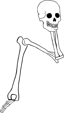 Dem bones dem bones dem – dry bones!