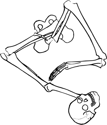Dem bones dem bones dem – dry bones!