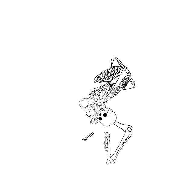 Dem bones dem bones dem – dry bones!