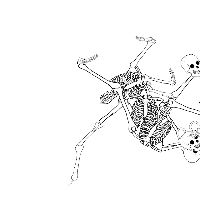 Dem bones dem bones dem – dry bones!