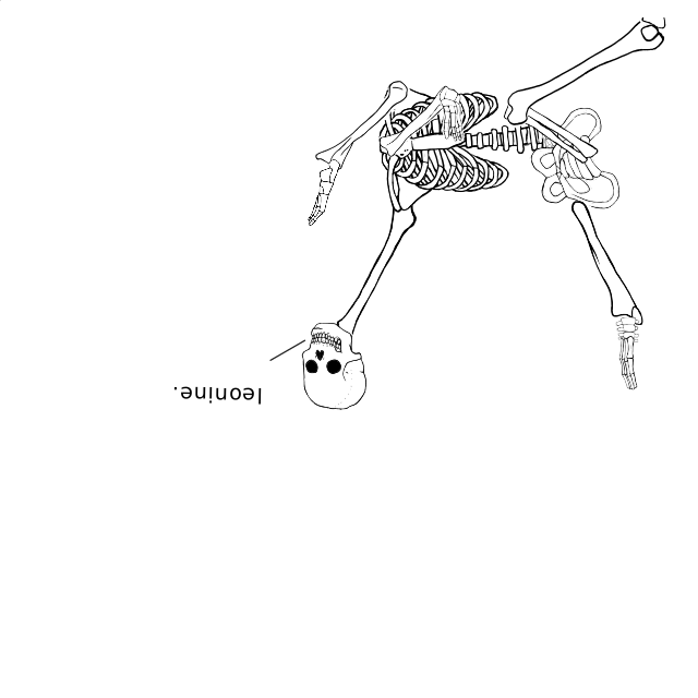 Dem bones dem bones dem – dry bones!