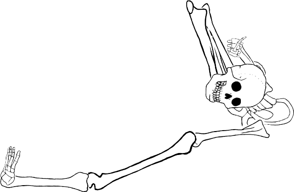 Dem bones dem bones dem – dry bones!