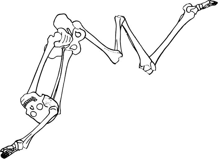 Dem bones dem bones dem – dry bones!