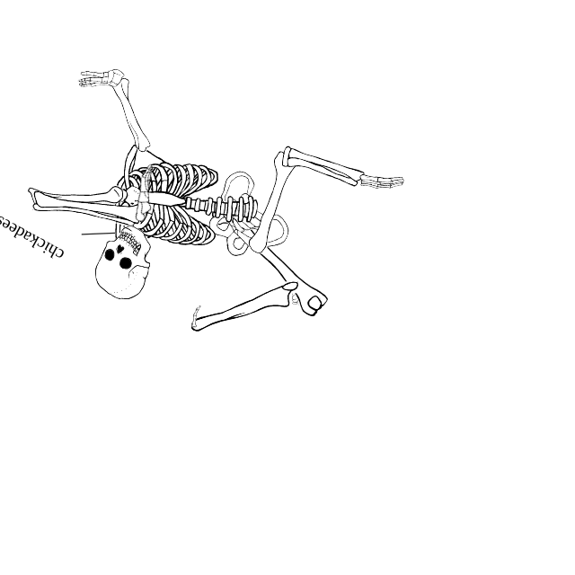 Dem bones dem bones dem – dry bones!