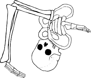 Dem bones dem bones dem – dry bones!