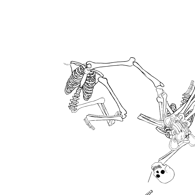 Dem bones dem bones dem – dry bones!
