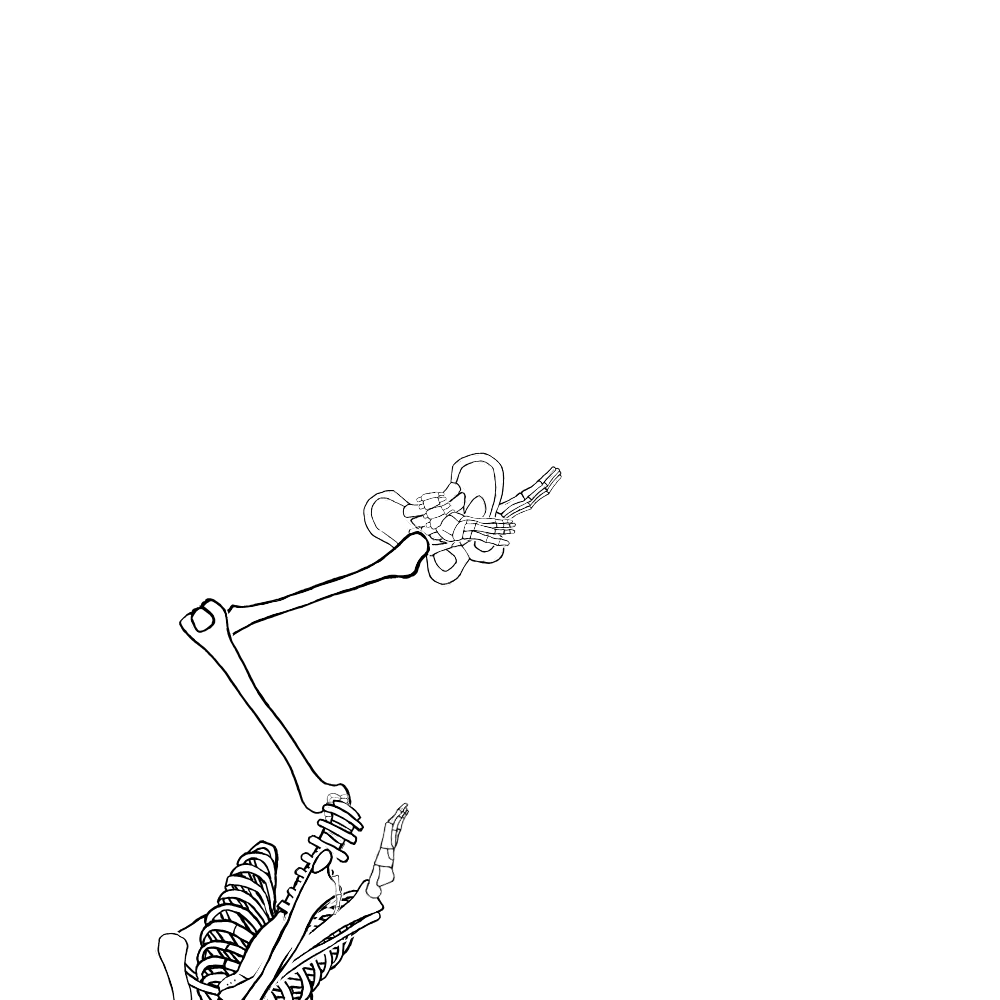 Dem bones dem bones dem – dry bones!