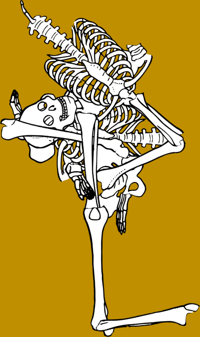 Dem bones dem bones dem – dry bones! Dem bones dem bones dem – extra bones!