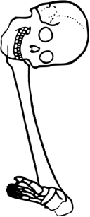 Dem bones dem bones dem – dry bones!