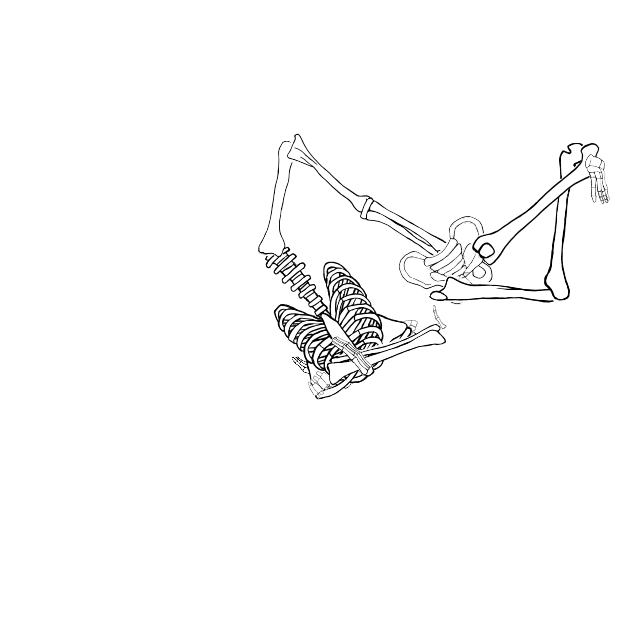 Dem bones dem bones dem – dry bones!