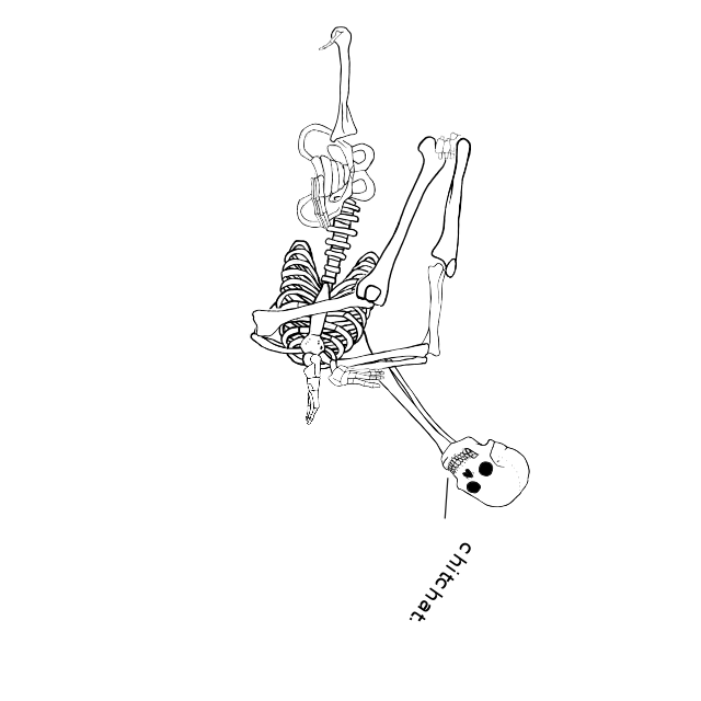 Dem bones dem bones dem – dry bones!